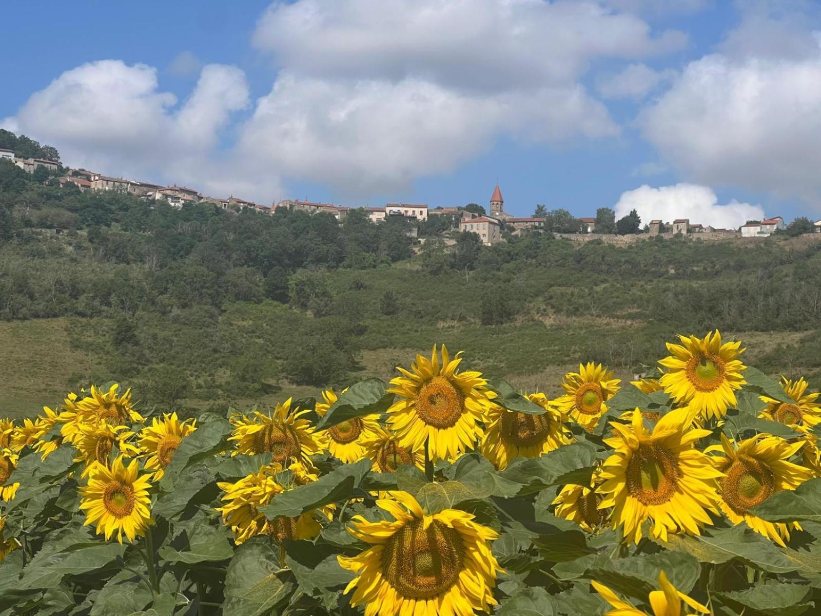 Appartamento Monacella Nonette Esterno foto